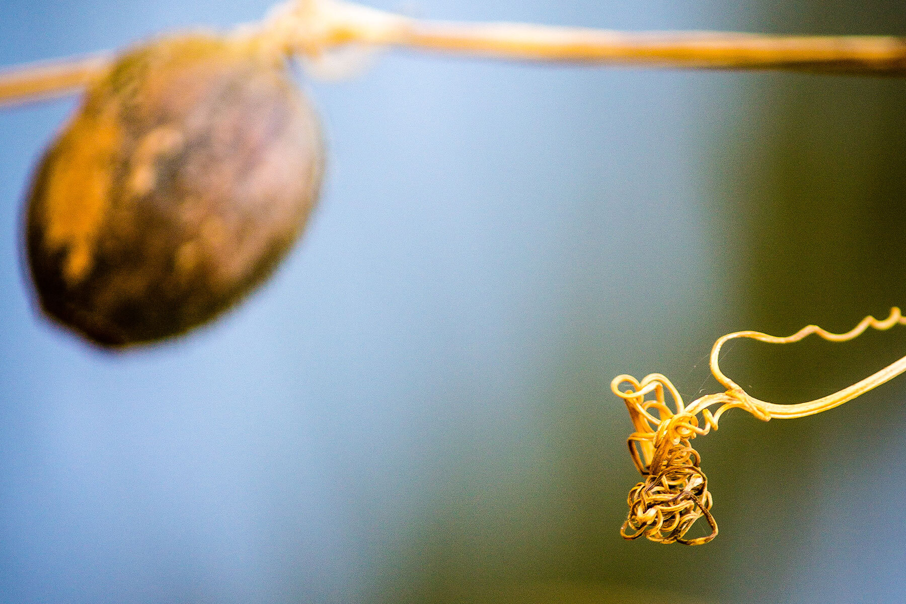 Selbstfürsorge Buch