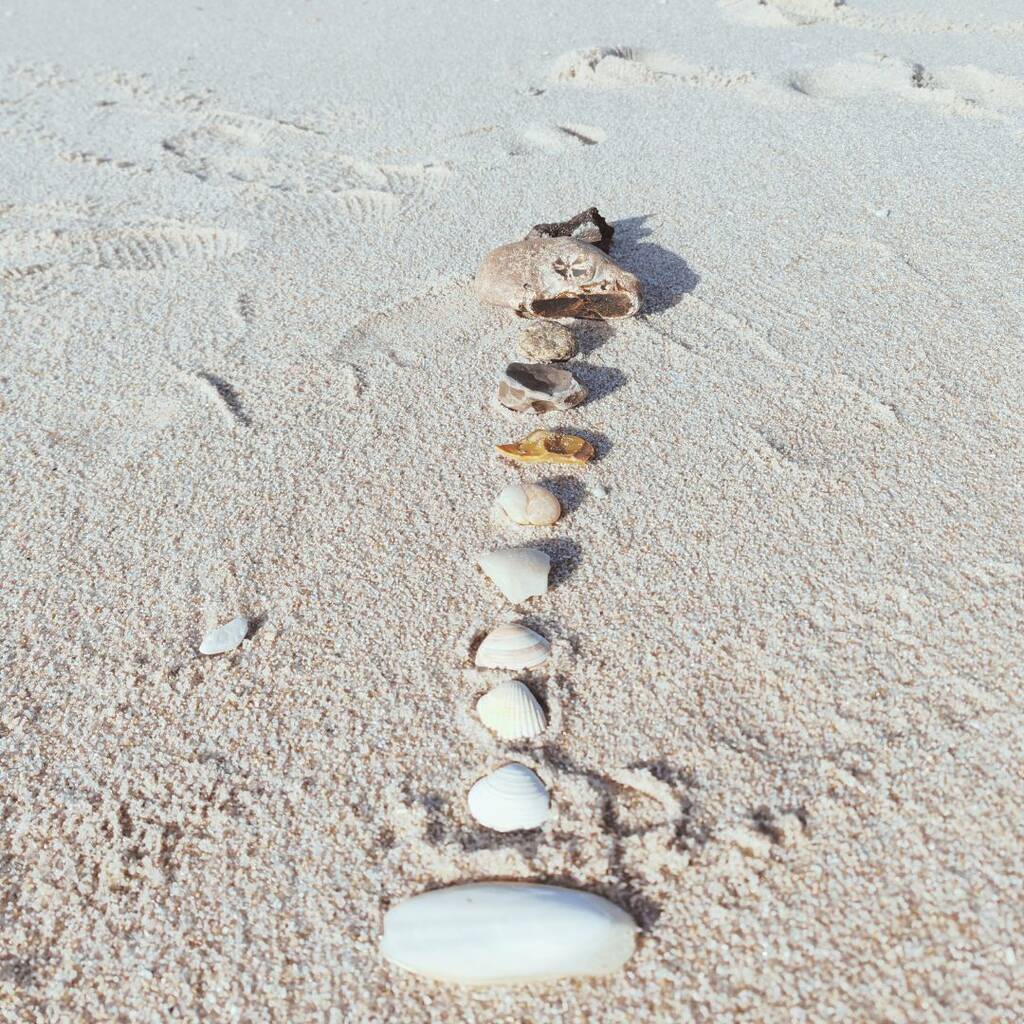 Seminare für Achtsamkeit und Persönlichkeitsentwicklung