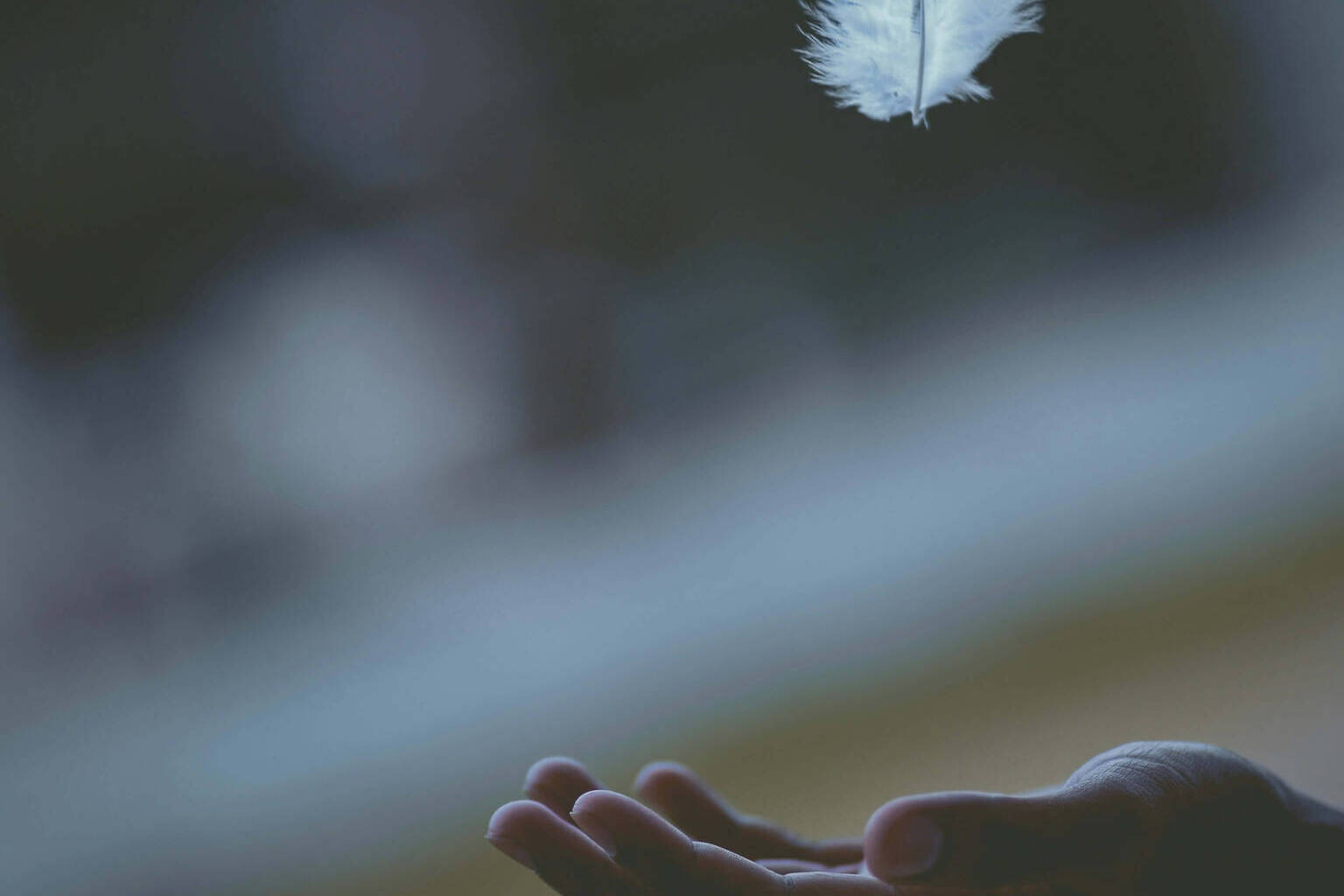 innere-ruhe-finden innere-ruhe-finden