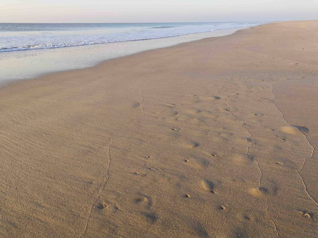 Coaching auf Sylt am Meer